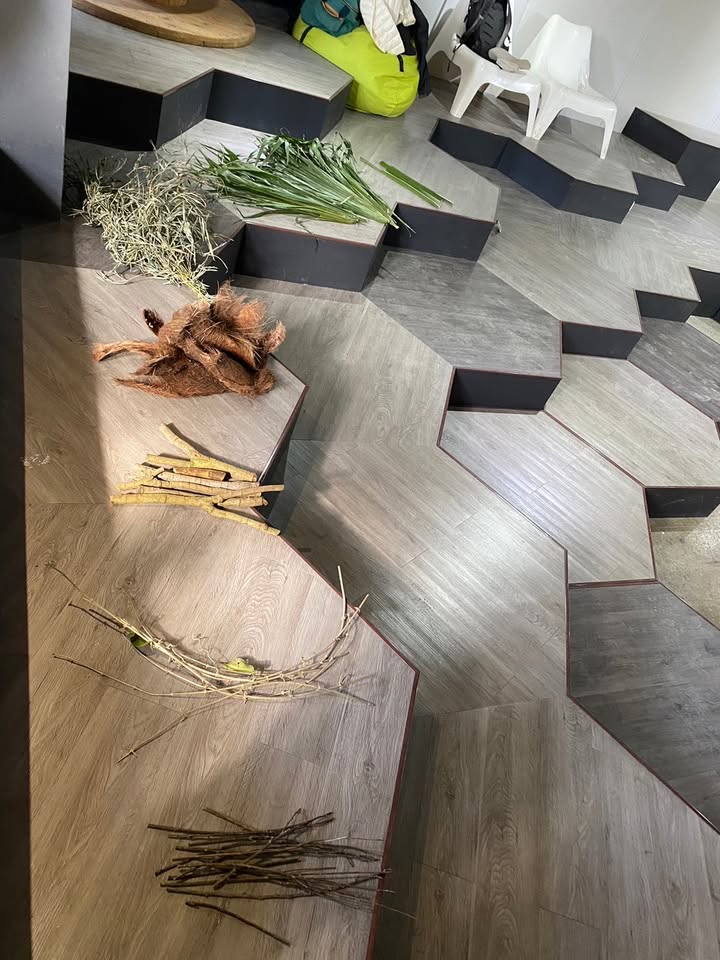 「植物」，是怎麼跟「歷史走讀」串在一起，又不違和呢？