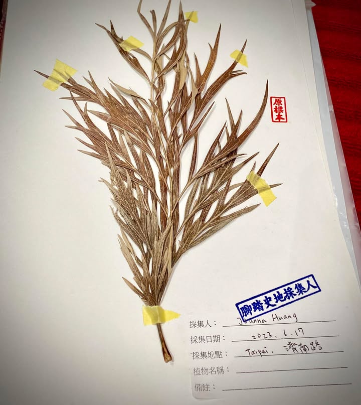 暑假，要開始了！！