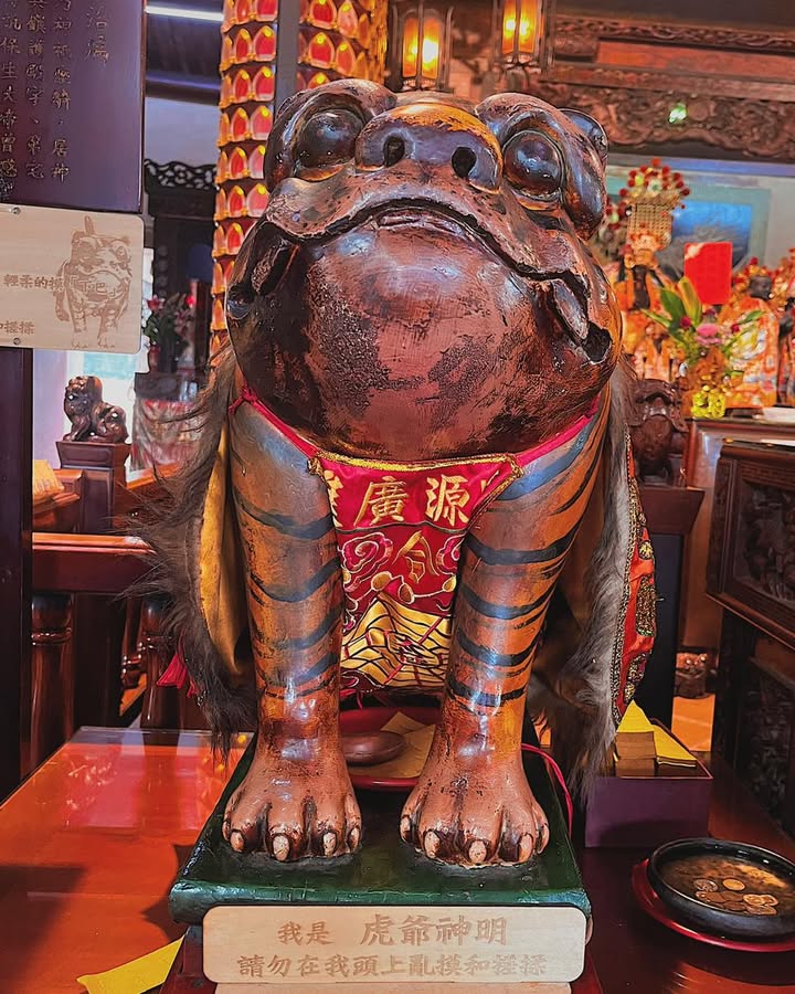 因為謝金魚這一系列的貼文，虎爺公，對我來說，頓時覺得可親了起來。（千萬、萬萬不能說可（愛），虎...