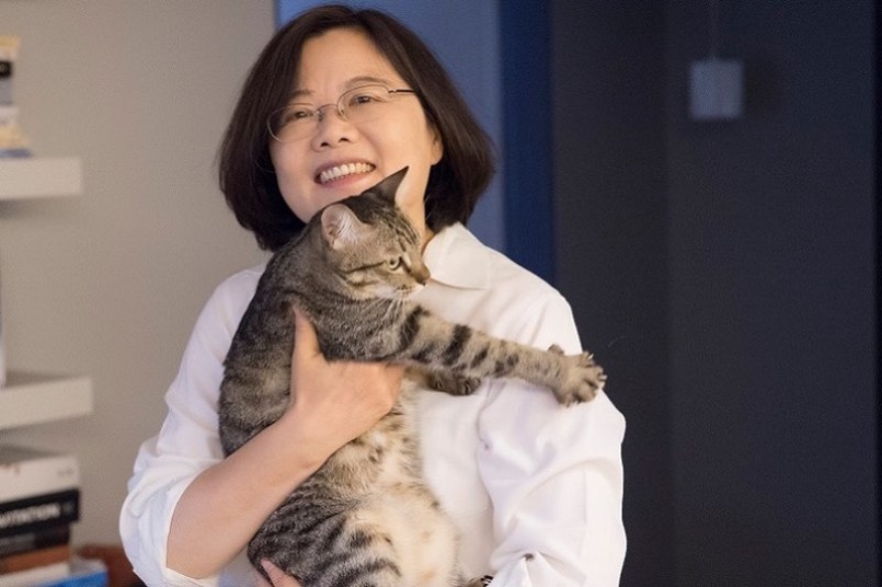 最近上了一堂（自己很喜歡）的人文課：「台灣第一位女總統與台灣的轉型八年」
